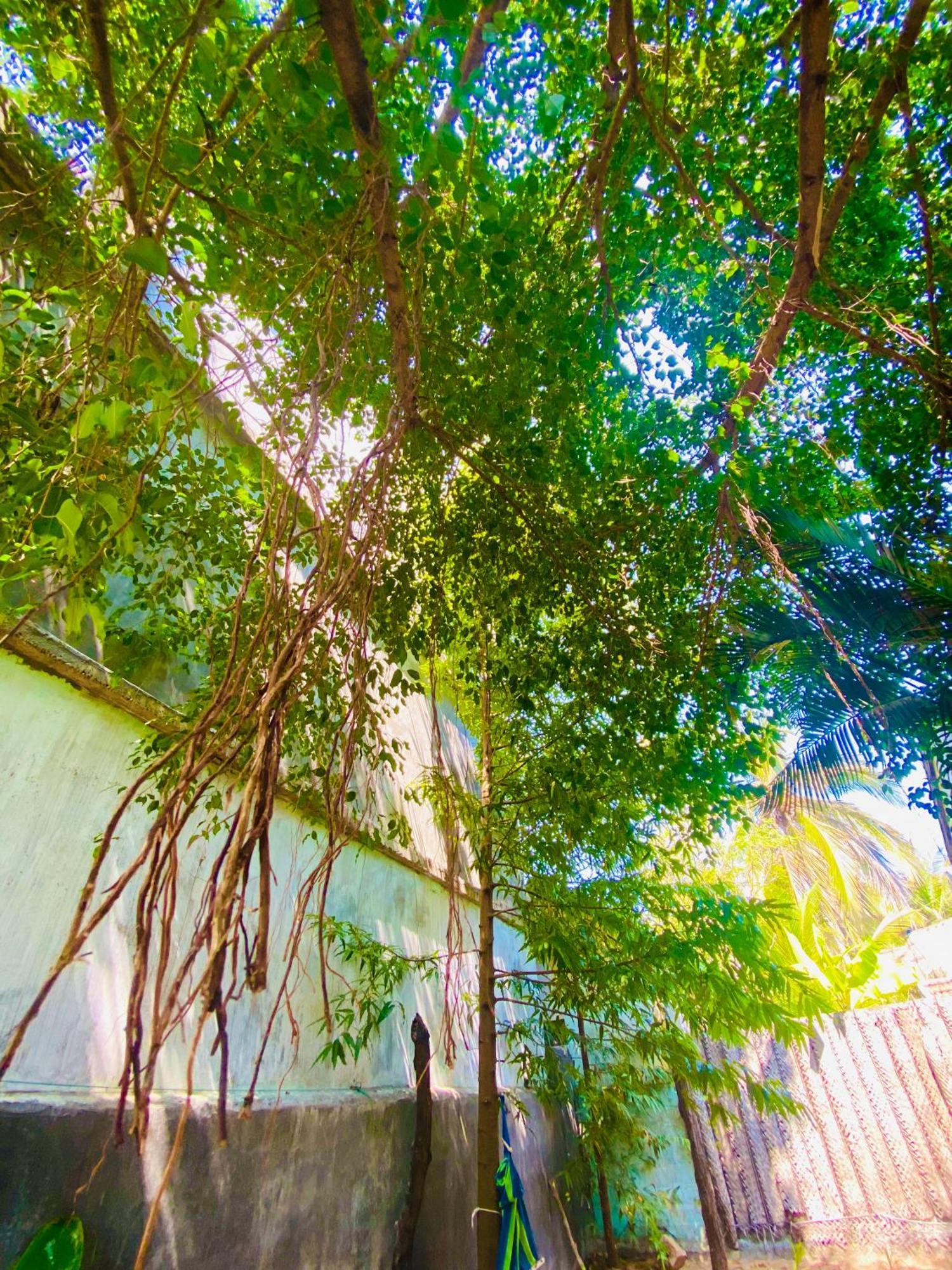 Marina Way Hotel Arugam Bay Luaran gambar